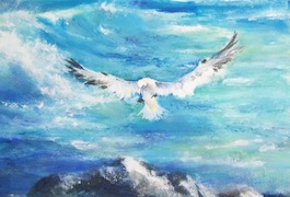 Watercolour of gull in flight by artist Jo Kimpton