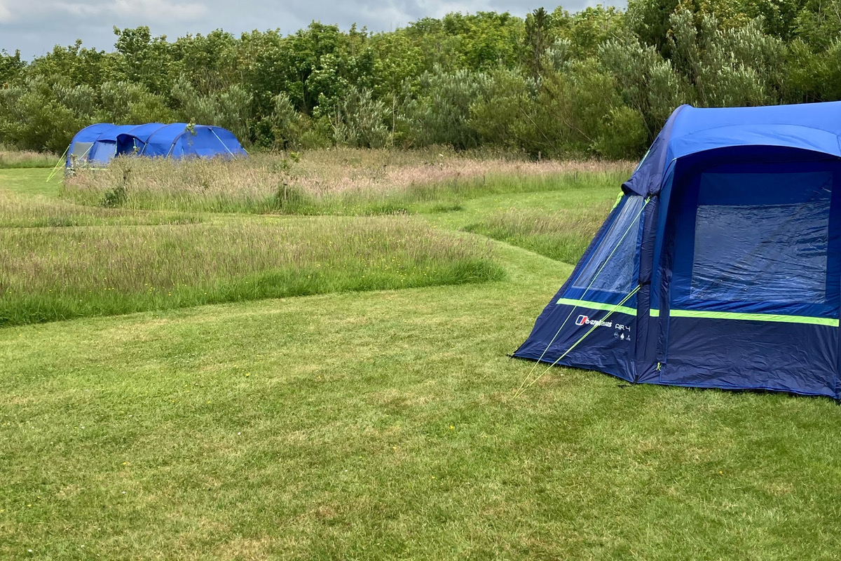 Camping in the meadow