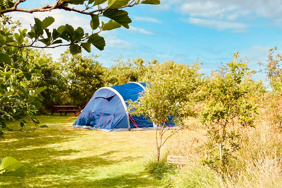 Camping on Woodpecker pitch