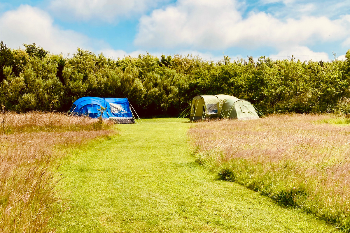 Friends share a pitch in the meadow